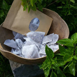 Load image into Gallery viewer, Island Bush Tea - Sugar Town Organics