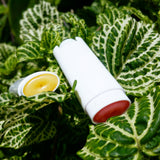 Load image into Gallery viewer, Fruit n Spice Lip Balm - Sugar Town Organics