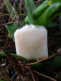 Load image into Gallery viewer, Unscented Aloe Soap - Sugar Town Organics